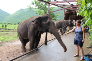 Elephants's World_Kanchanaburi