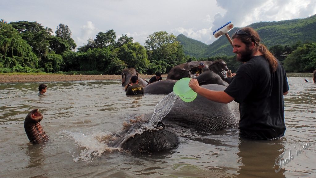 Elephants's World_Kanchanaburi_3