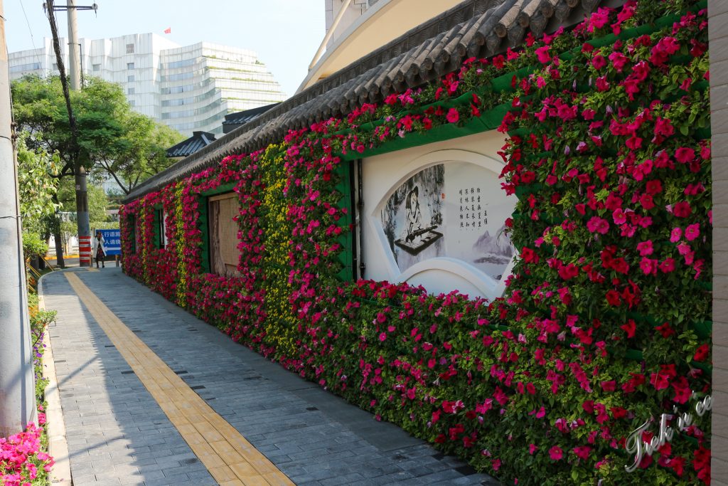 Rue fleurie à Xi'an 