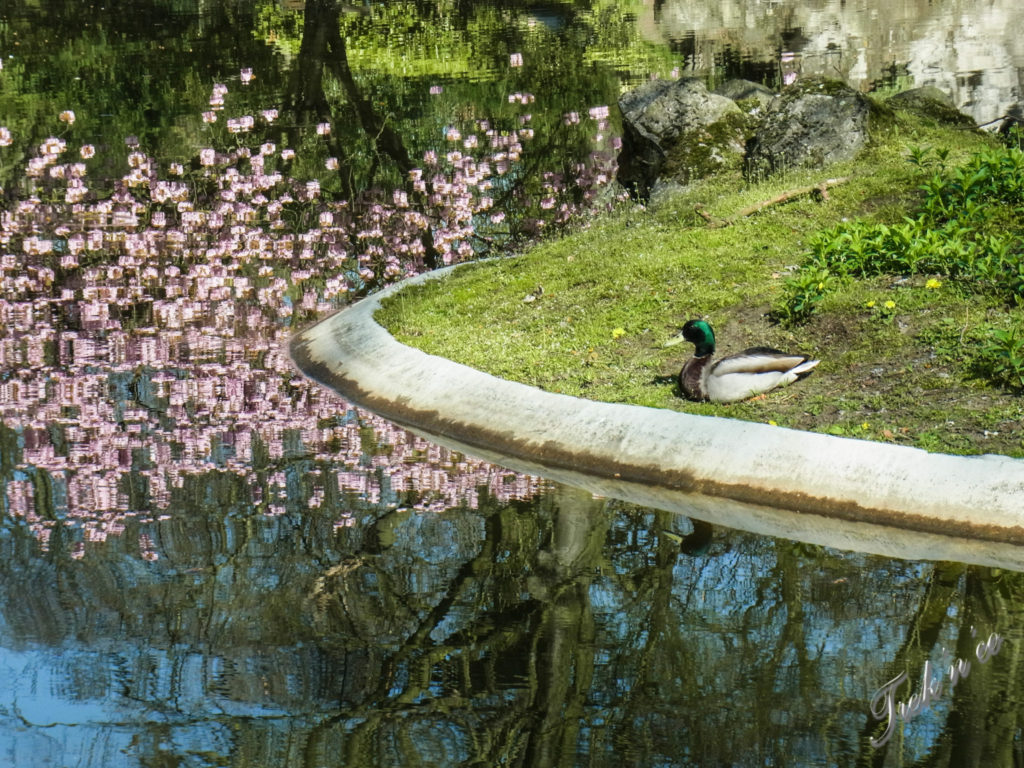 Citadel Park