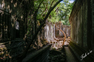 Beng Mealea