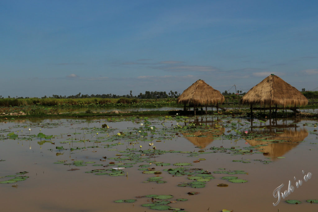 Ferme_aux_lotus