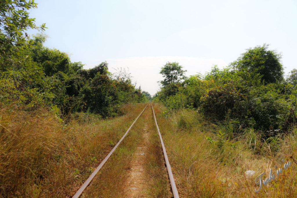 Bamboo train rails