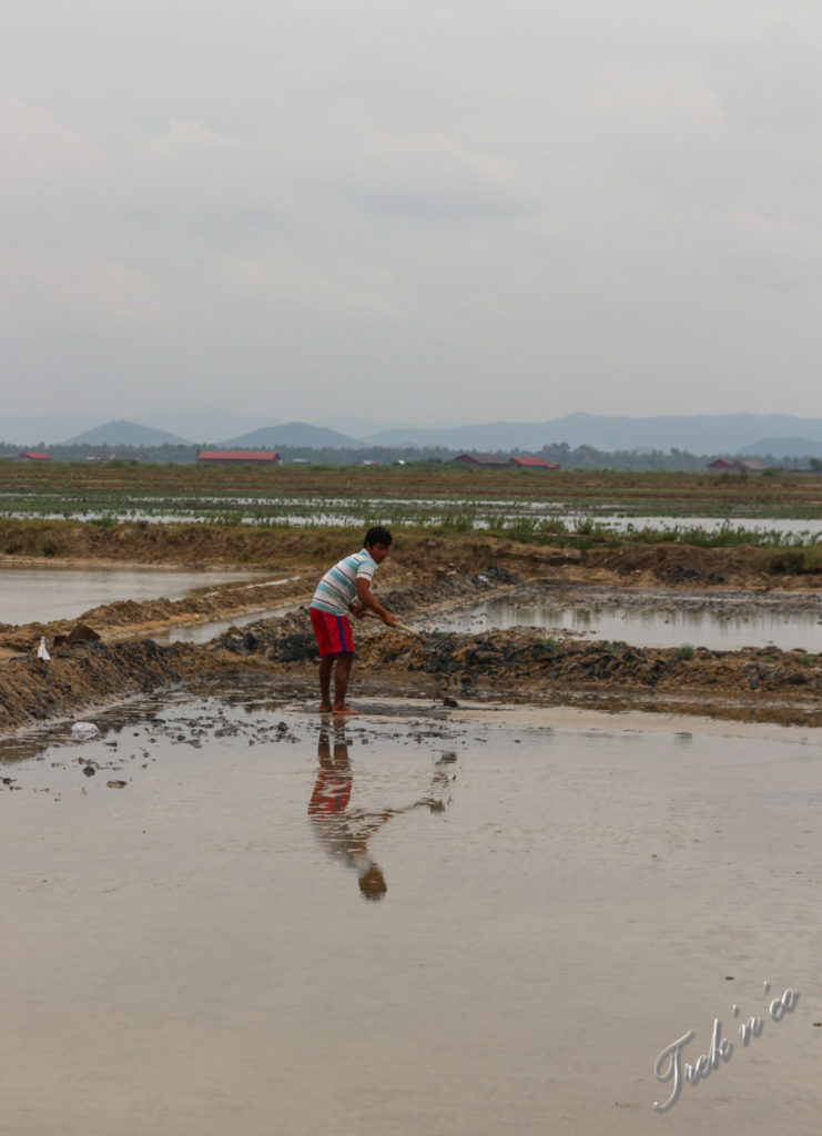 Salines_1_Kampot