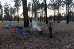 Campement dans la forêt de Kaibab