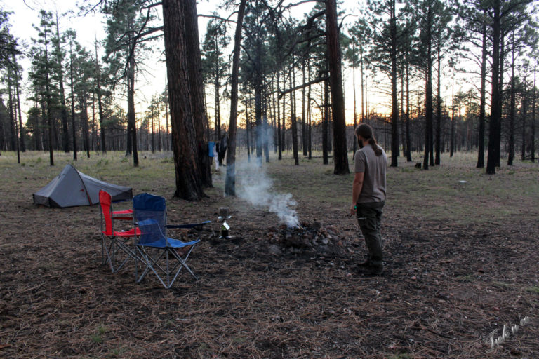 campement dans la forêt