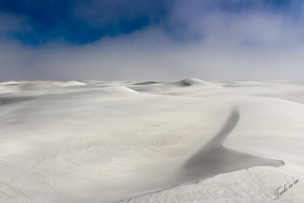 White sands