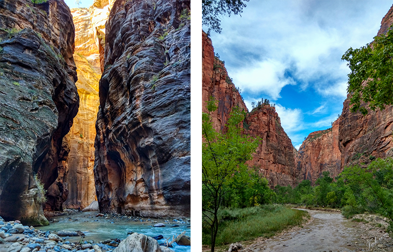 Zion national park