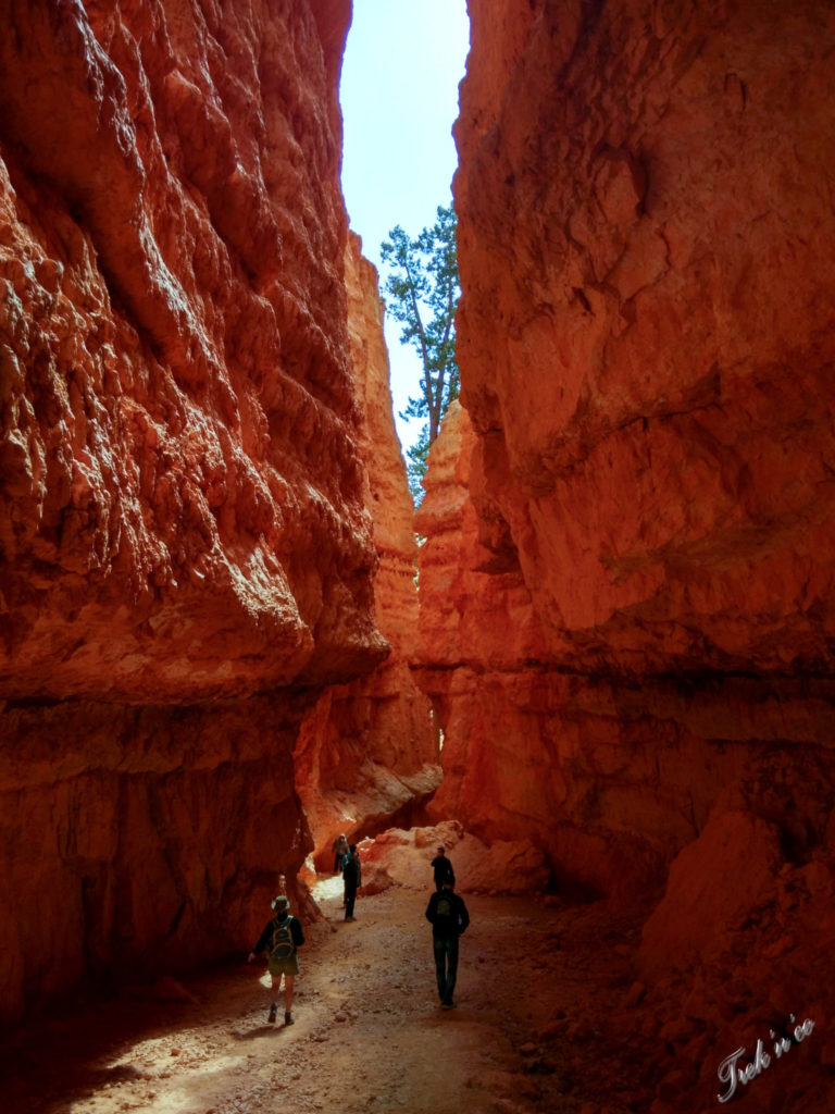 inside_Bryce_canyon