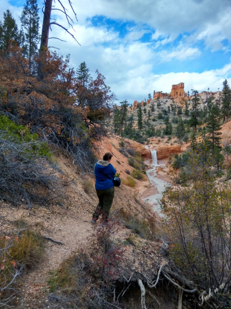 Bryce_canyon_waterfall