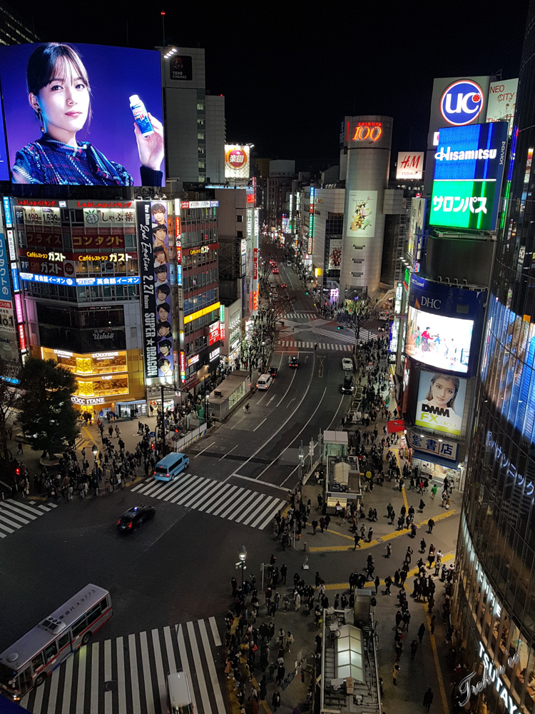 shibuya 