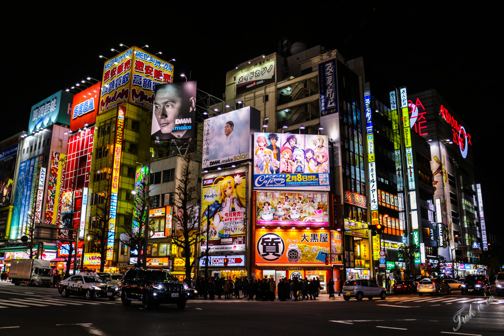 akihabara by night