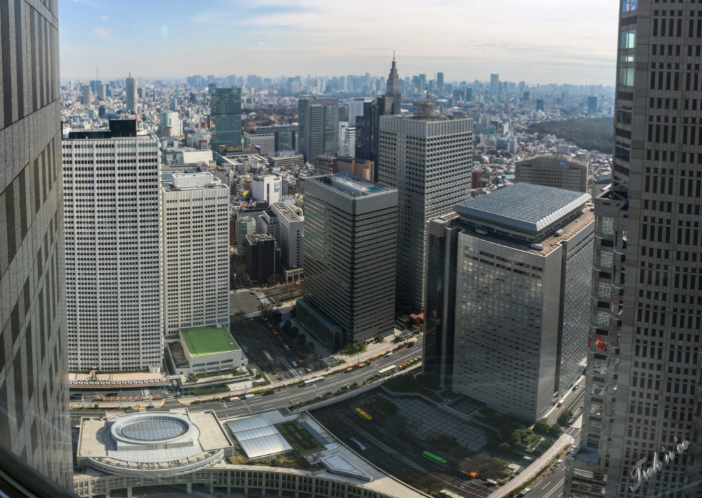 panorama tokyo metropolitan building