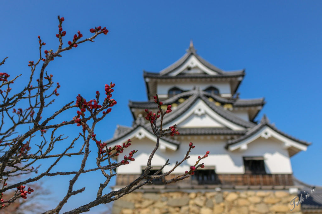 château d'Hikone