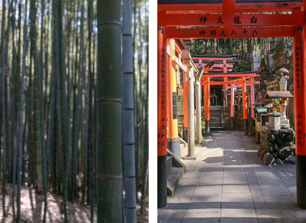 campagne de kyoto