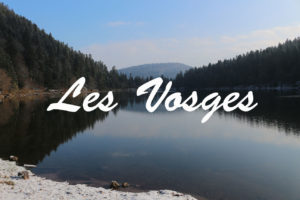 Miniature_Vosges