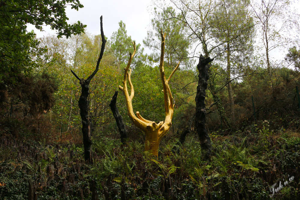 arbre en or broceliande